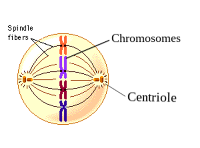 Good_to_know_SPERM2 Good_to_know_SPERM2