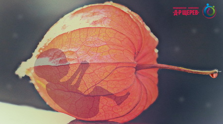 iaichnikov_rezerv (1)