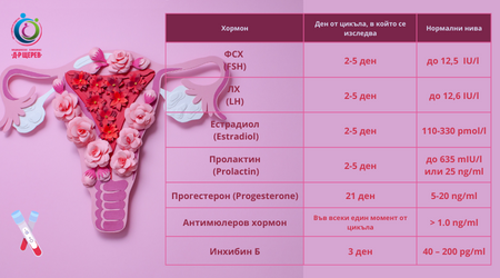 Репродуктивни хормони при жената – какво означават резултатите?