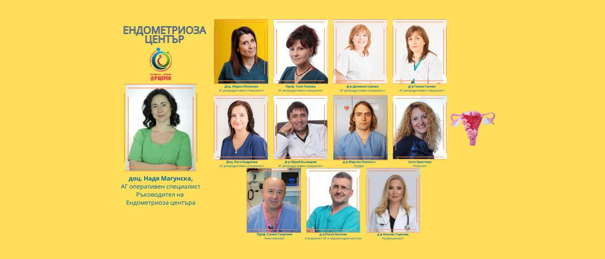 Our Team Endometriosis Center (1200 x 515 px)