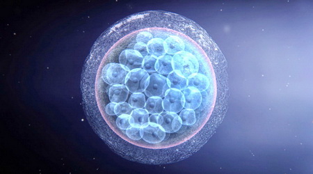 2D 3D video news pic