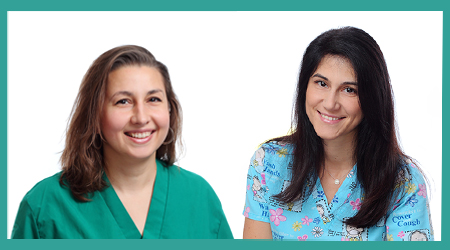 Люб и Деси 450 250