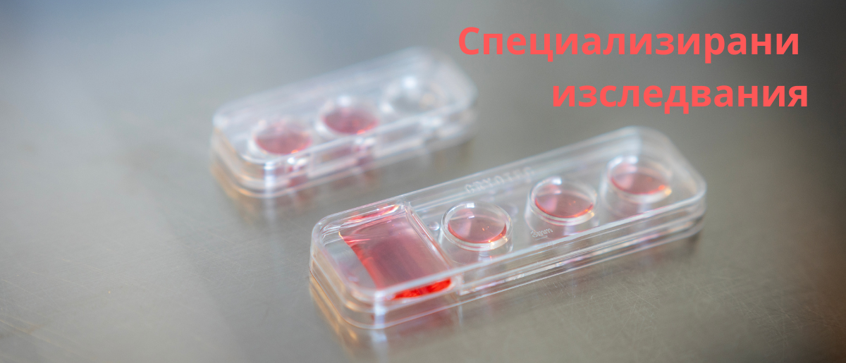 TEST TEST TEST 1200x515 TEST TEST TEST 1200x515